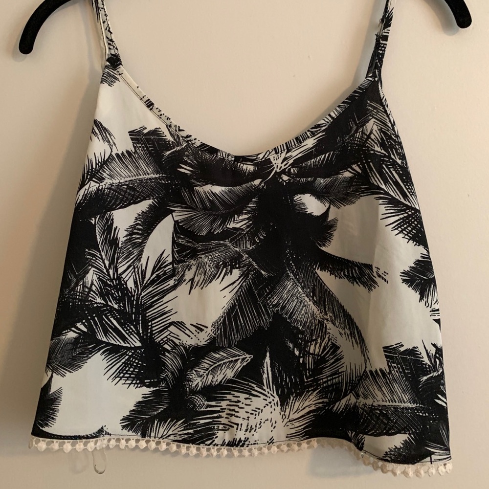 Black and cream palm tree top